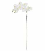 33" Real Touch Phalaenopsis - White