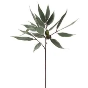 30.5" Eucalyptus Spray With Pod Green