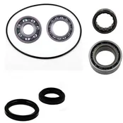 Arctic Cat 250 300 2X4 Rear differential bearing & seal kit