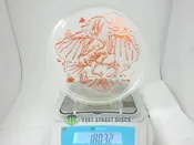 2021 USDGC Jurassic w/ Authenticity Certificate Champion Roc - Innova 180.32g