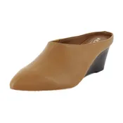 Aerosoles Camia