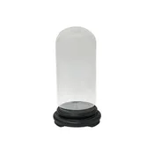 12" Vintage Glass Transparent Dome Shape Round Display Case GB738S