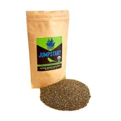 JUMPSTART – GREY MILLET*