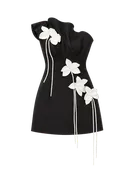 Acler Lugini Mini Dress