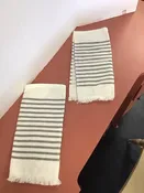 2  DISH CLOTHES