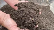 Tru-fecta Finely Screened Living Compost