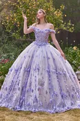 3D Floral Glitter Off Shoulder A-Line Ball Gown 15704