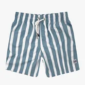 Gray Blue Stripes Swim Short