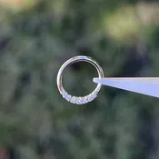 Audrey, White Gold + CZ — CowPok