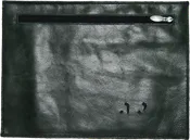 100G-FG2