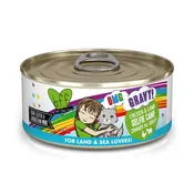BFF OMG GRAVY Chicken & Lamb Selfie Cam! Dinner in Gravy Wet Cat Food Can, 5.5-oz
