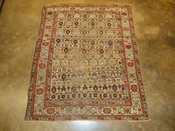 Caucasian Shirvan — Sarkis Kish