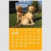 Calendar Month