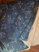 Constellations Minky Blanket