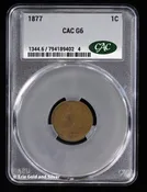 1877 1C Indian Head Cent CAC G 6 | Good 06 Key Date