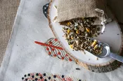 Avian FRESH Diet Parrot Food-Psittacine&trade; Sprouting Blend