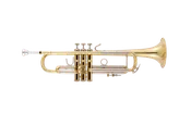 Bach 18037R Trumpet