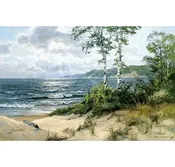 Morning Light by Charles Vickery — The Frame and Mat Shop
