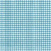 1/8" Carolina Gingham Pond by Studio RK