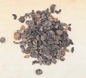 AMLA BERRY