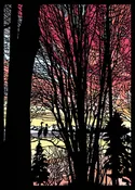 Greeting Card #133 Beauty Beholders