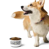 Insulated Pet Bowl — Little Traverse Bay Humane Society