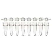 0.2mL 12-Strip Tubes, with Separate 12-Strip clear Dome caps, Natural; Box of 80