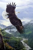 Al Agnew Soaring Spirit - 15.5" x 23"