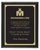 10x13 Piano Finish Plaque - Black / Gold
