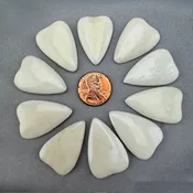 Bone Hearts Polished for Scrimshaw Lot of 10 Pcs. - 10