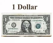1 Dollar enter as many dollars as you need