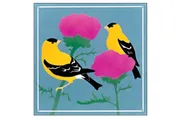 CP206 Goldfinches Coaster Pack