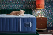 Stearns & Foster Estate 13.5" Extra Firm Mattress