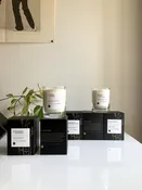 B. Elixir Aromatherapy