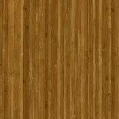 Bamboo