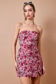 Applewood Mini Dress