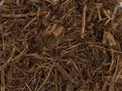 Forest Mulch