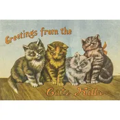 Postcard Greetings from the Catskills