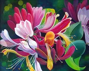Golden Flame Honeysuckle