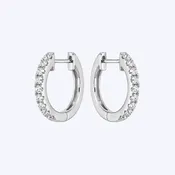 14k Gold 0.14ctw Diamond Hoop Earrings - (DSL)