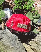 5 Panel Red PachaMama