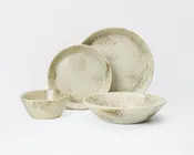 4 Piece Skali Coupe Dinner Setting