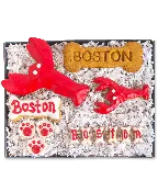 Boston Biscuit Box