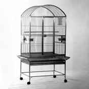 A&E Cage Company Dome Top Cage Stainless Steel - 32” x 23” - Rolling Bird Enclosure #9A-3223