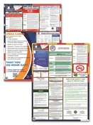 Arizona State and Federal Poster Set