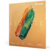 Ascenté Viola String Set
