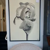 Bardet Artwork