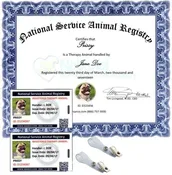 NSAR Therapy Animal Team Membership Renewal