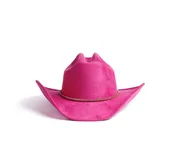 Pink Formation | Cowgirl Hat — Style Therapii Boutique