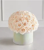 50 LUXURY BLUSH ROSES IN IRIDESCENT BOX